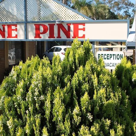 Lone Pine Motel Corowa Ngoại thất bức ảnh