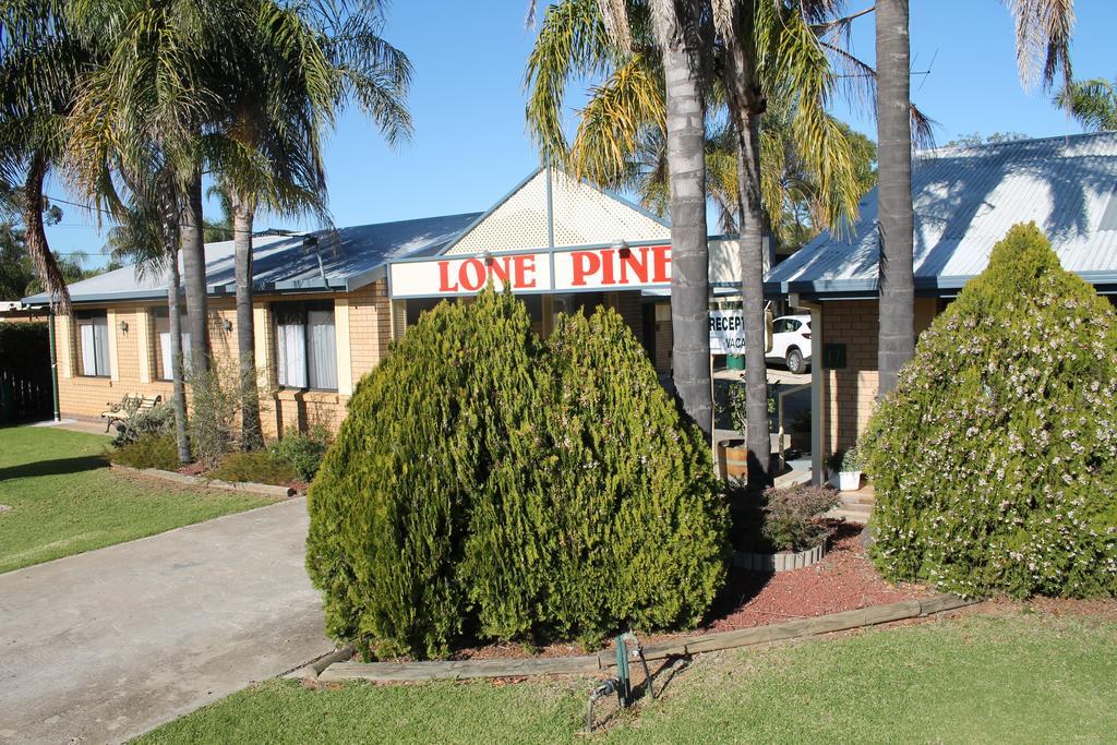 Lone Pine Motel Corowa Ngoại thất bức ảnh