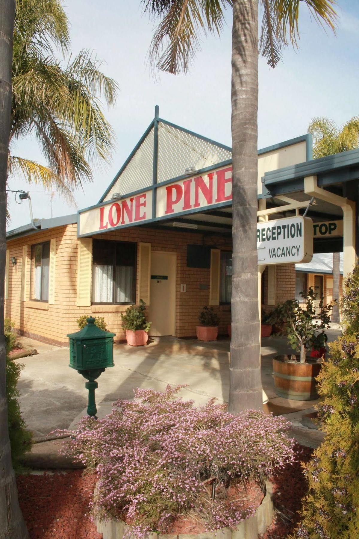 Lone Pine Motel Corowa Ngoại thất bức ảnh